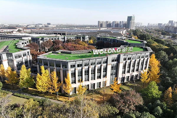 Wolong GROUP PROFILE