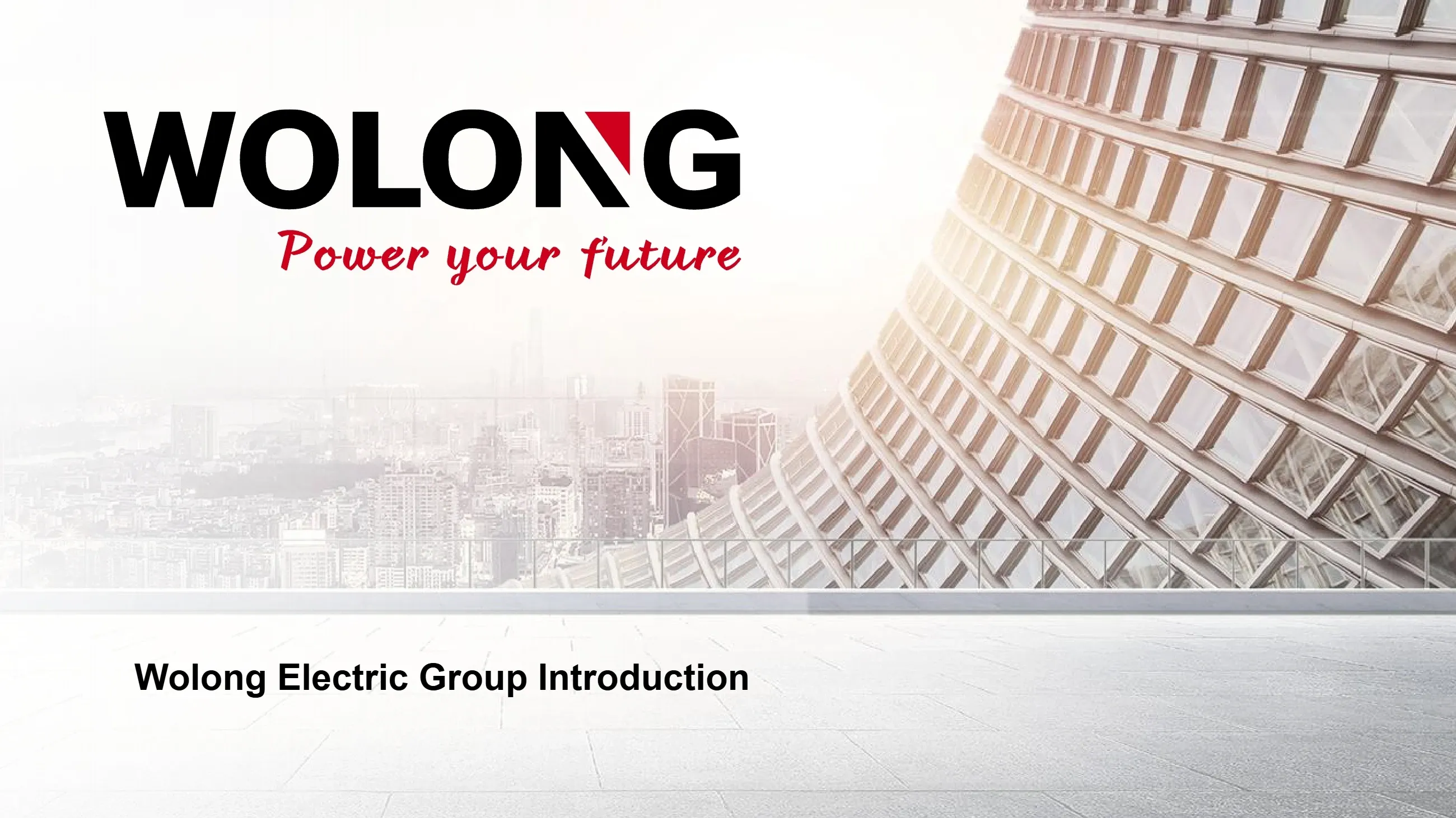 Wolong Group(图1) Introduction to Wolong Group_1.webp
