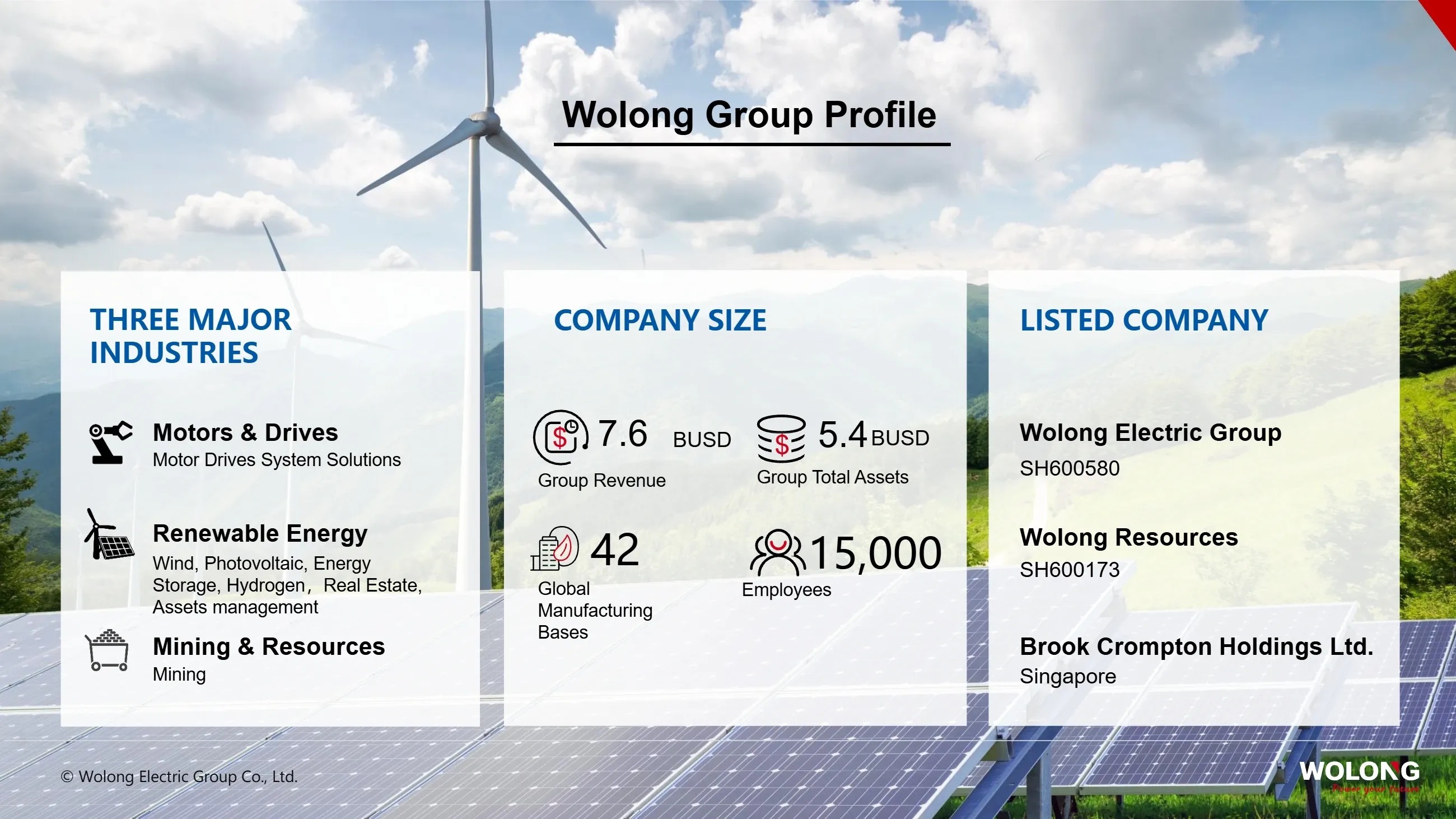 Wolong Group(图3) Introduction to Wolong Group_3.webp