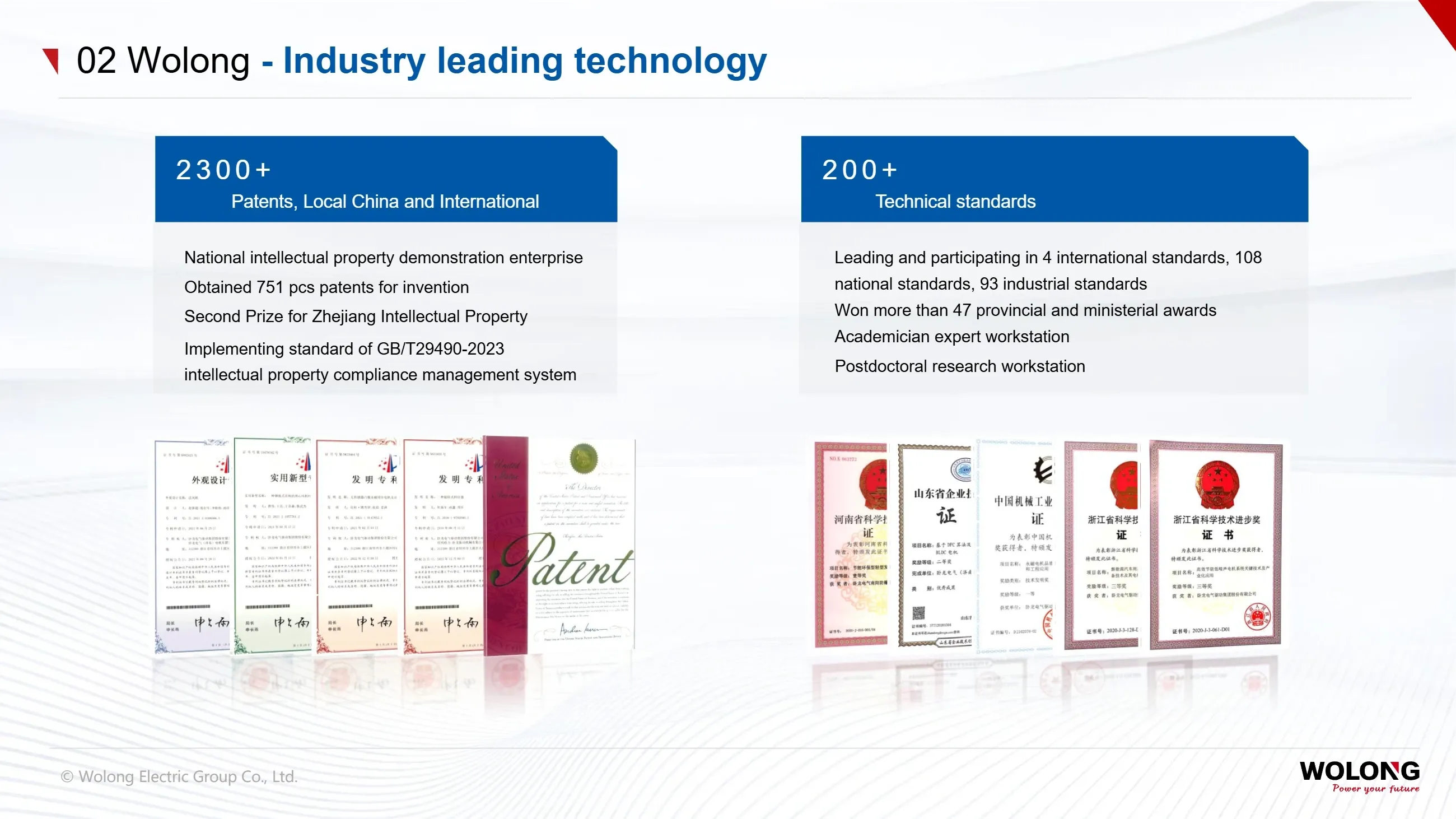 Wolong Group(图17) Introduction to Wolong Group_17.webp