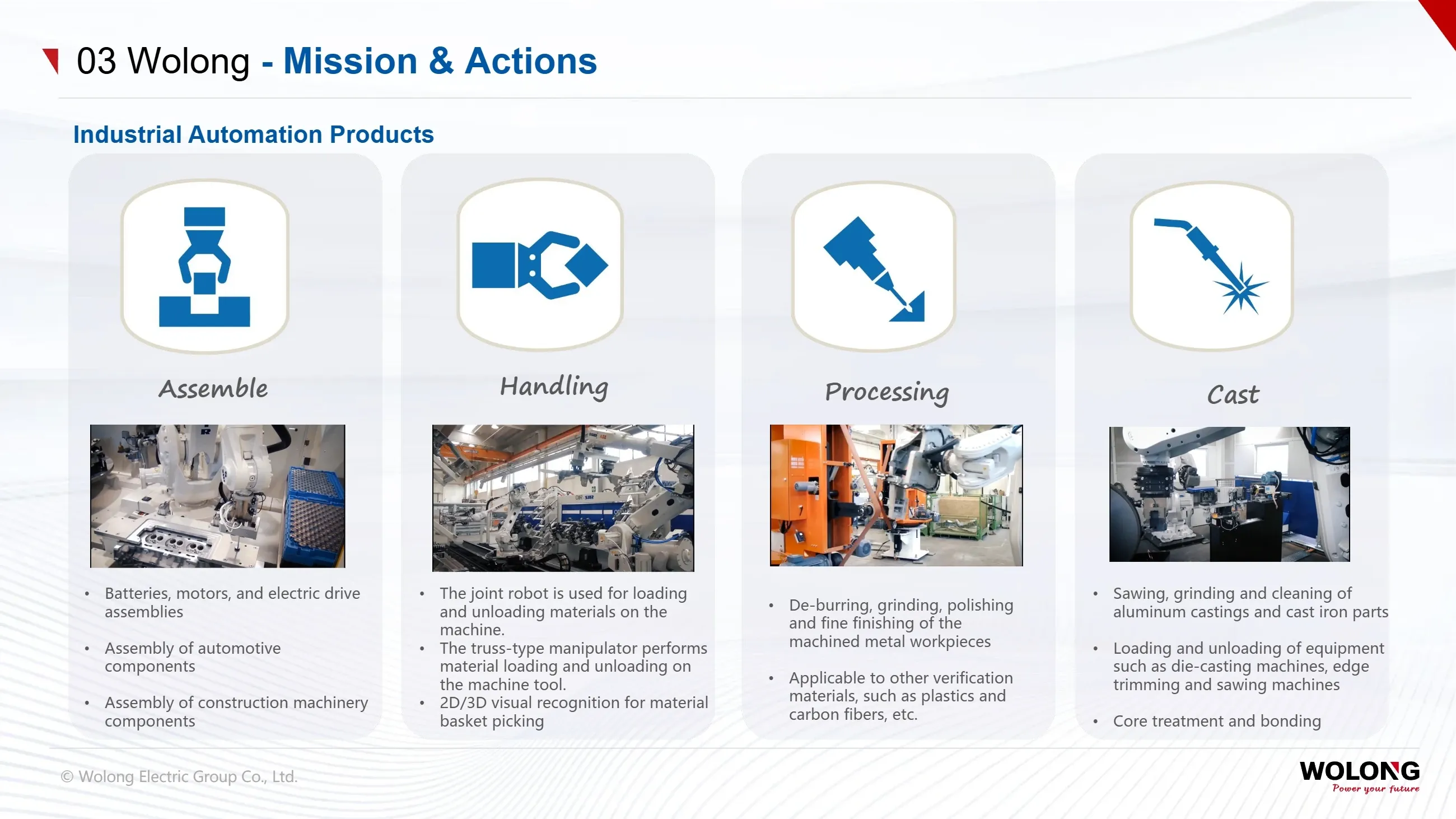 Wolong Group(图37) Introduction to Wolong Group_37.webp