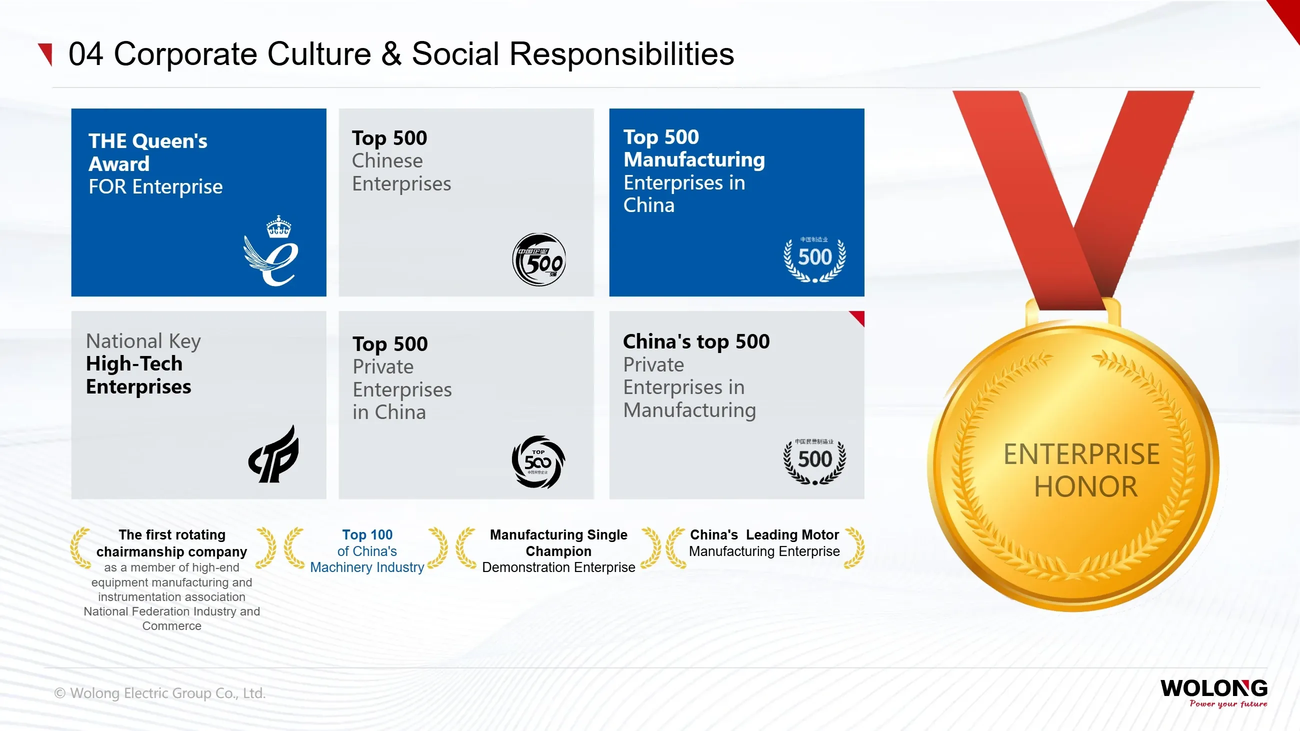 Wolong Group(图51) Introduction to Wolong Group_51.webp
